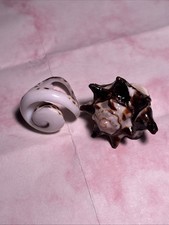 Set of Sea Shell Rings