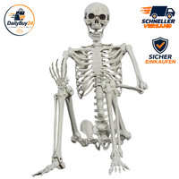 Halloween-Skelett 165Cm LebensgrößE Posable Menschliches Skelett FüR Dekoration