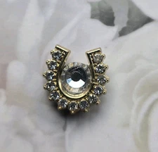Bling Horseshoe Magnetic Pin Brooch, Clear.  Horse Show Brooch. Equestrian gift