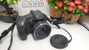 Sony Cyber-shot DSC-HX100V 16.2MP Digital Bridge Camera + 16gb new battery raaug