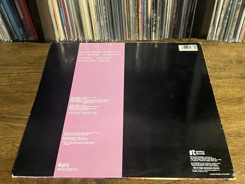 Rain Parade - Beyond The Sunset (LP, Album) (Very Good Plus (VG+)) - 3344643057 - 第 2/4 張圖片