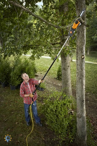 Tree Trimmer Pole Saw Electric Chainsaw 