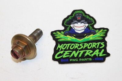 1996-2005 YAMAHA WAVE RAIDER 1100 GP XL XLT 800 1200 1300 R FLYWHEEL CRANK BOLT