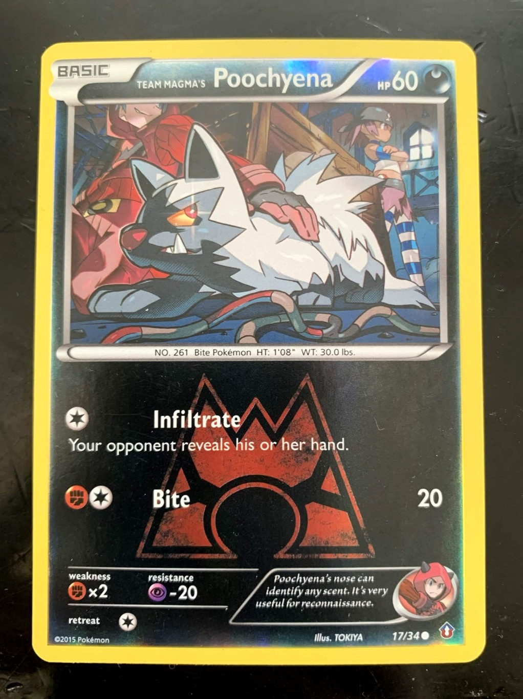 Pokemon Card • Team Magma's Poochyena Double Crisis 17/34 Reverse Holo