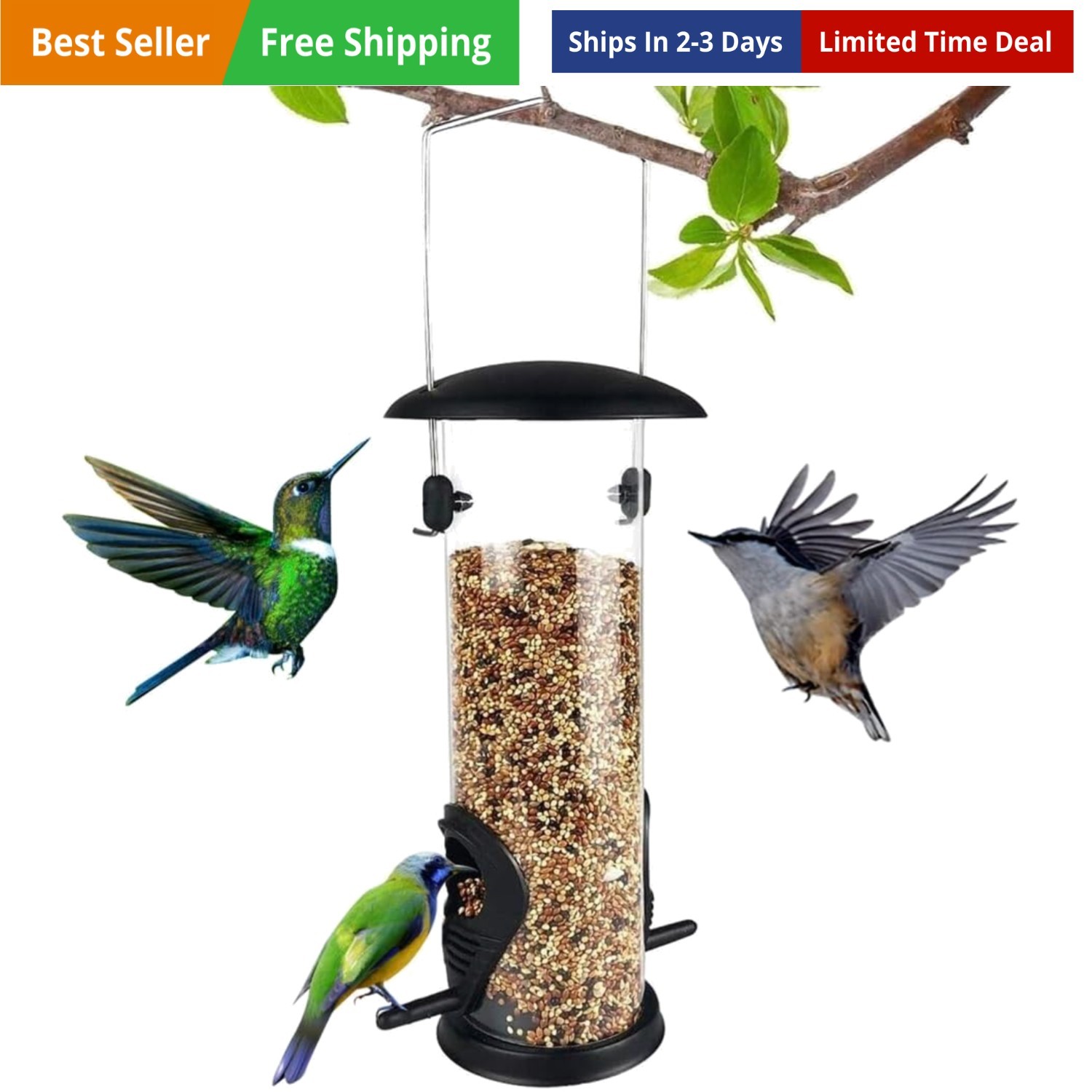 S For Outdoors Hanging  Metal Bird Feeder Squirr