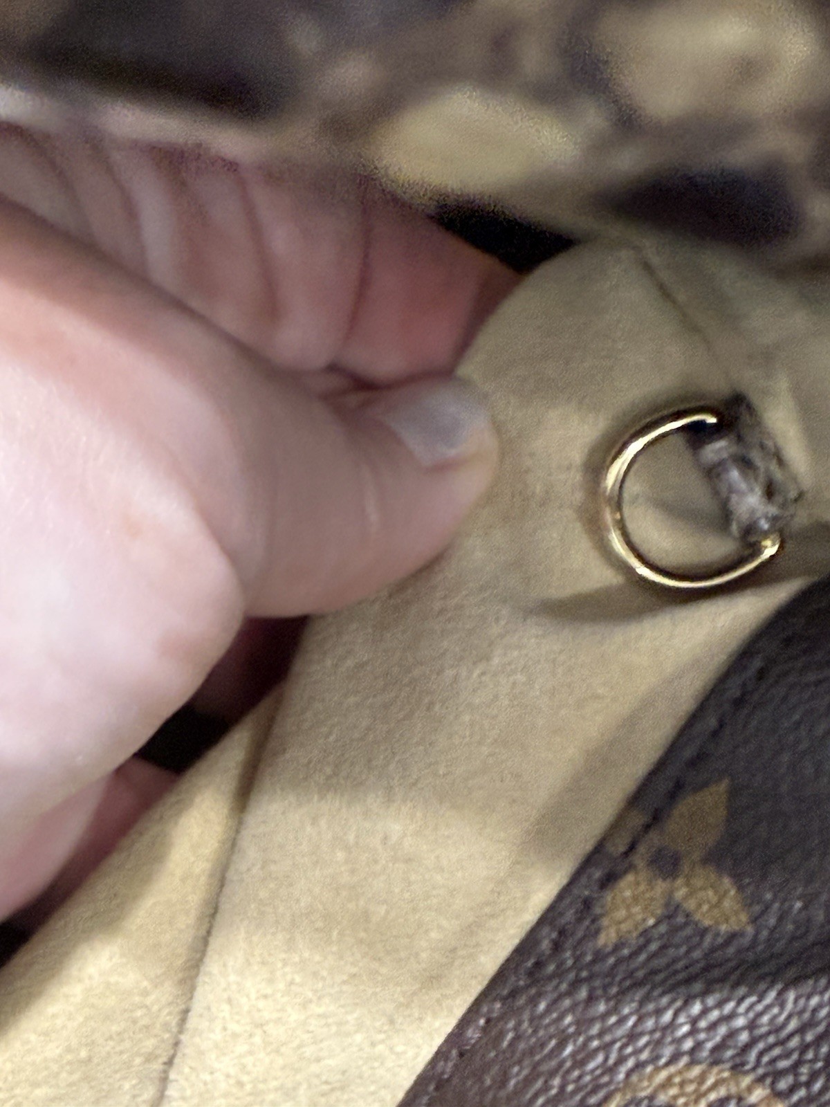 Louis Vuitton Artsy Python W/ Cites Docs - image 20