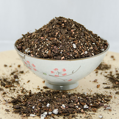 2  Gal. Special Blend Shohin Bonsai Tree Soil - With Mycorrhizae, Lava & Sand 