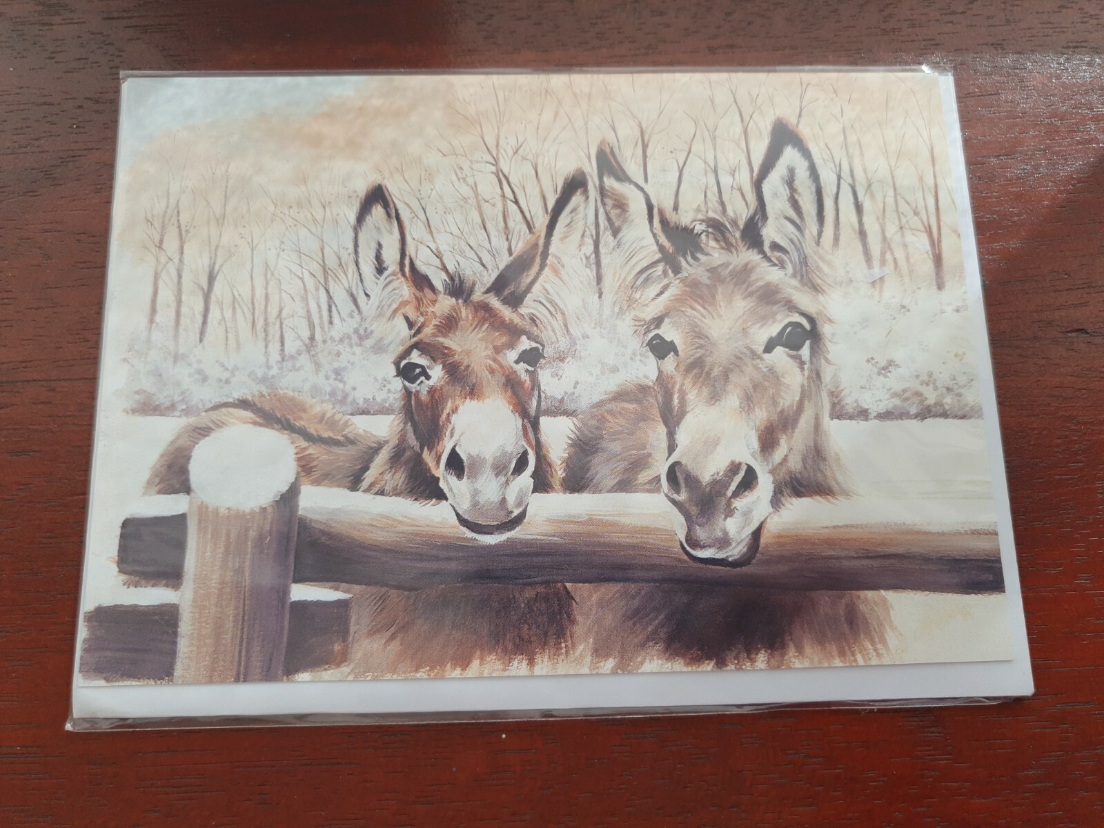 Donkey Business BLANK greetings card Donkey birthday card Donkeys Christmas card