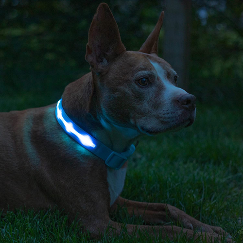 LED Dog Collar Light Up Bright USB Rechargeable Waterproof 1000ft Visibility