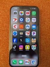 iPhone 13 Pro Max With Tik Tok App