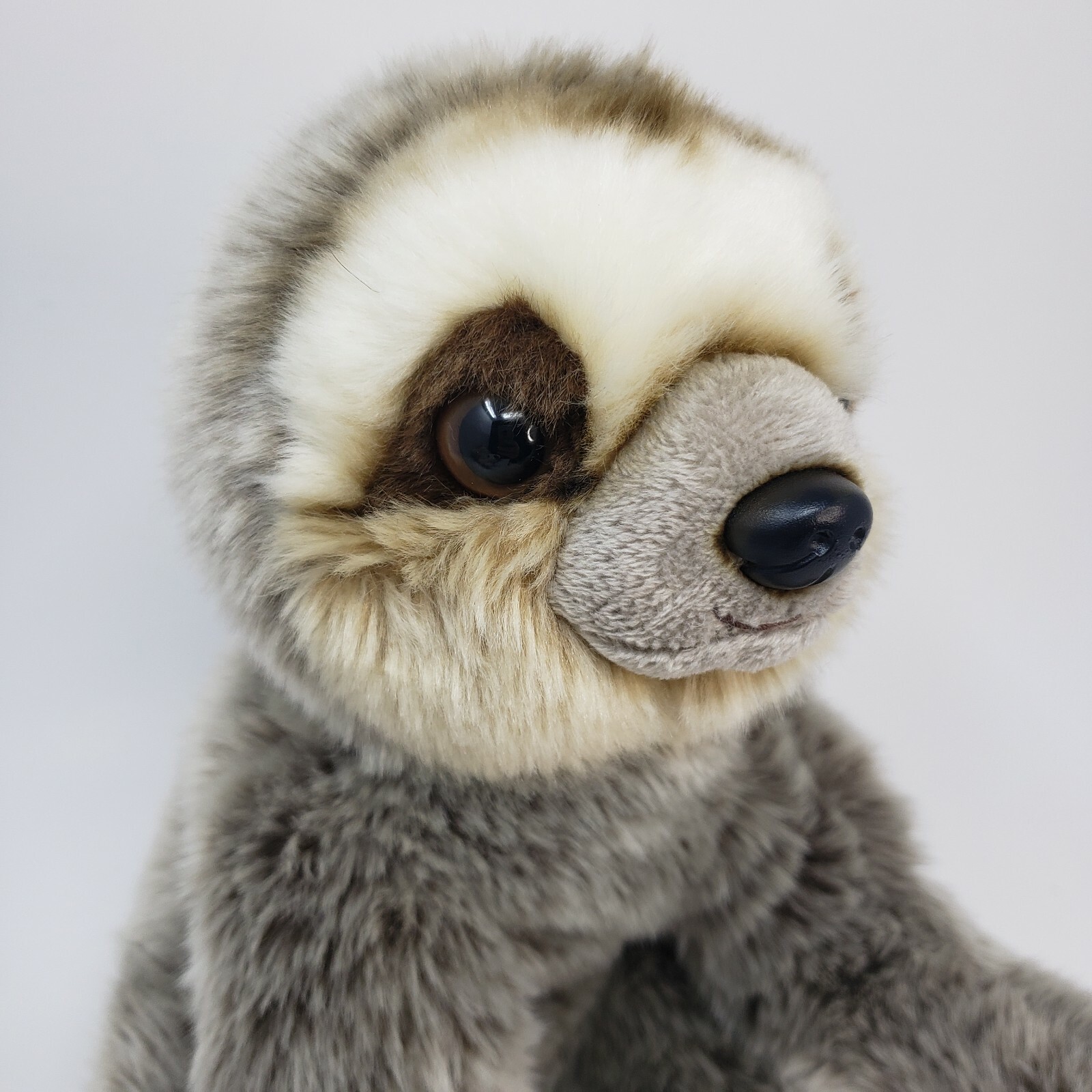 ganz sloth