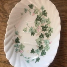 Green leaves vines flowers glass soap dish