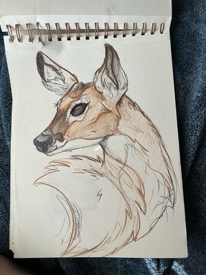 Art Per Your Request! Real Pages Mailed to You! Read Description for Details