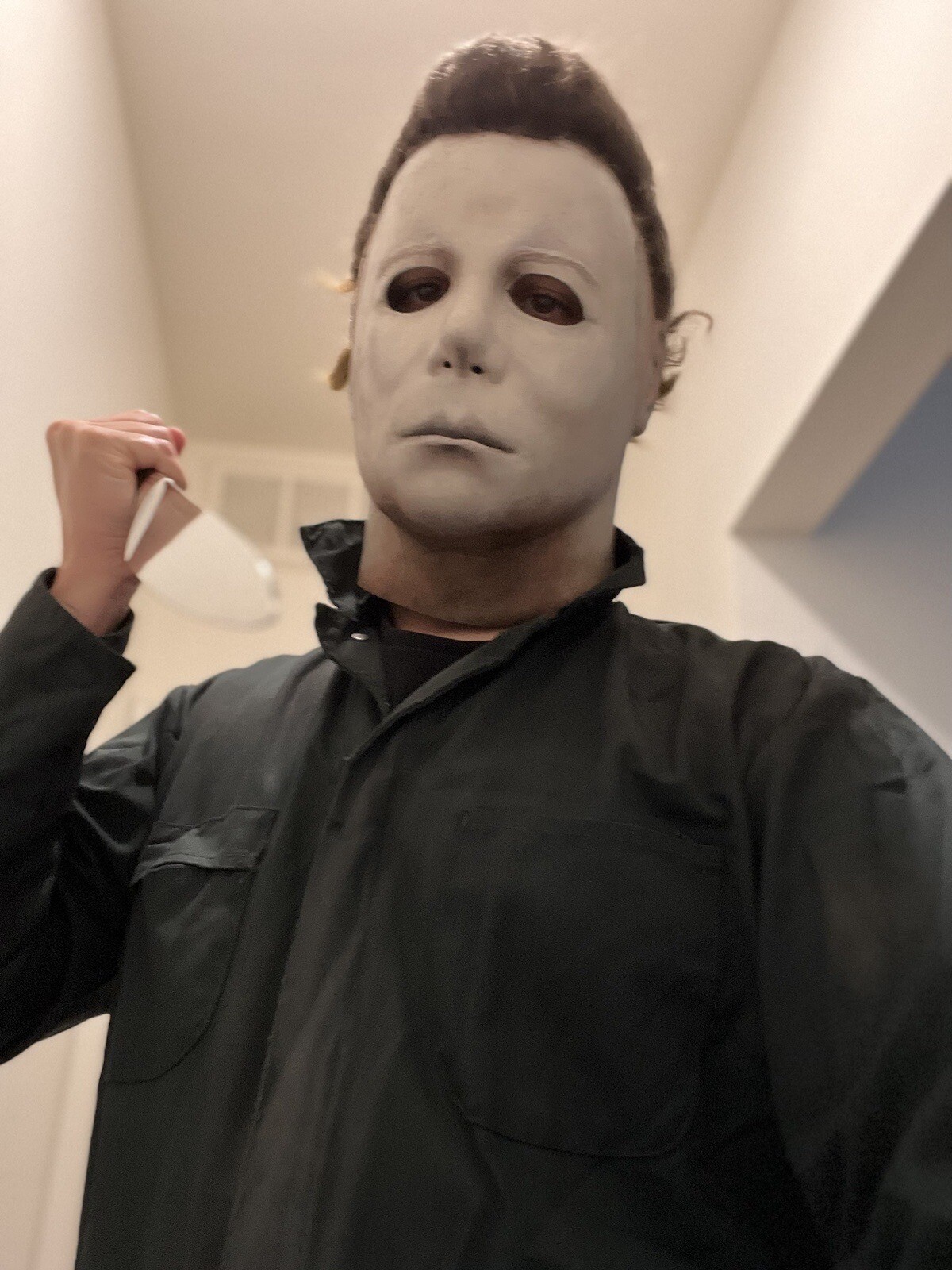 CreepyCustoms Superior 78 Halloween 1978 Coveralls 44R eBay