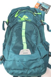 ozark trail riverdale backpack
