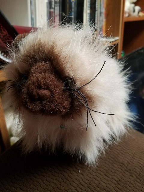 webkinz himalayan | eBay
