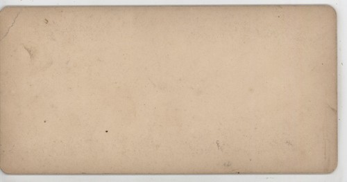 Eine indische Familie bei Niagarafällen Curtis Stereoview c1870 - Bild 4 von 5