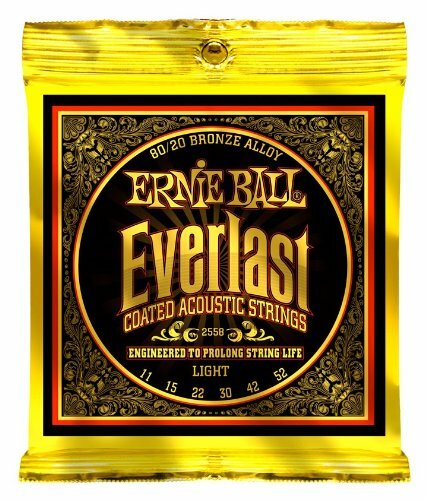 Ernie Ball Everlast Light 80/20 Bronze Cordes Guitare Acoustique - (P2c)