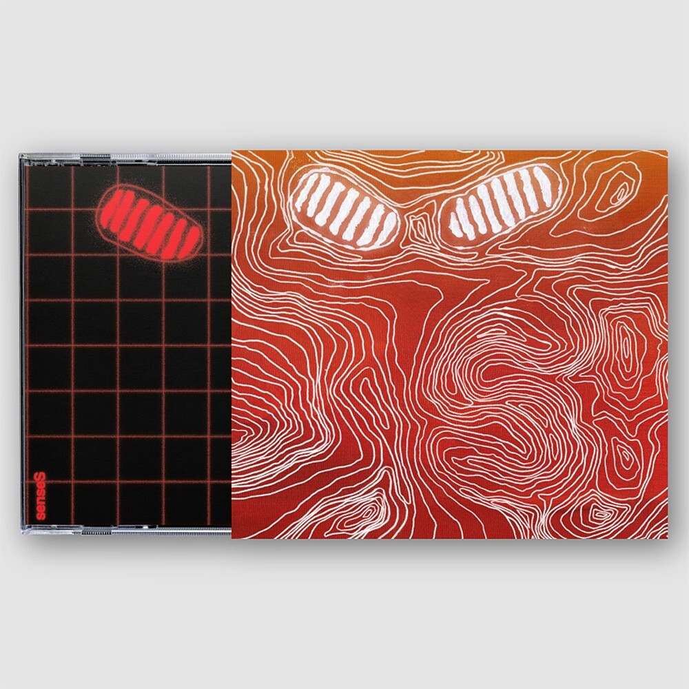 DPR LIVE HONG DABIN [SENSES] Album CD-R+Jewel Case+Sleeve DA BIN K