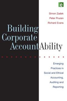 Building Corporate Accountability: Emerging Practice in ... | Buch | Zustand gut