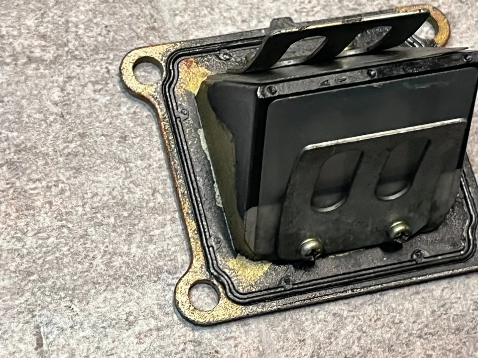 Bloque de membrana Suzuki RM 85 RM85 caja de membrana membrana Foto 3 de 4