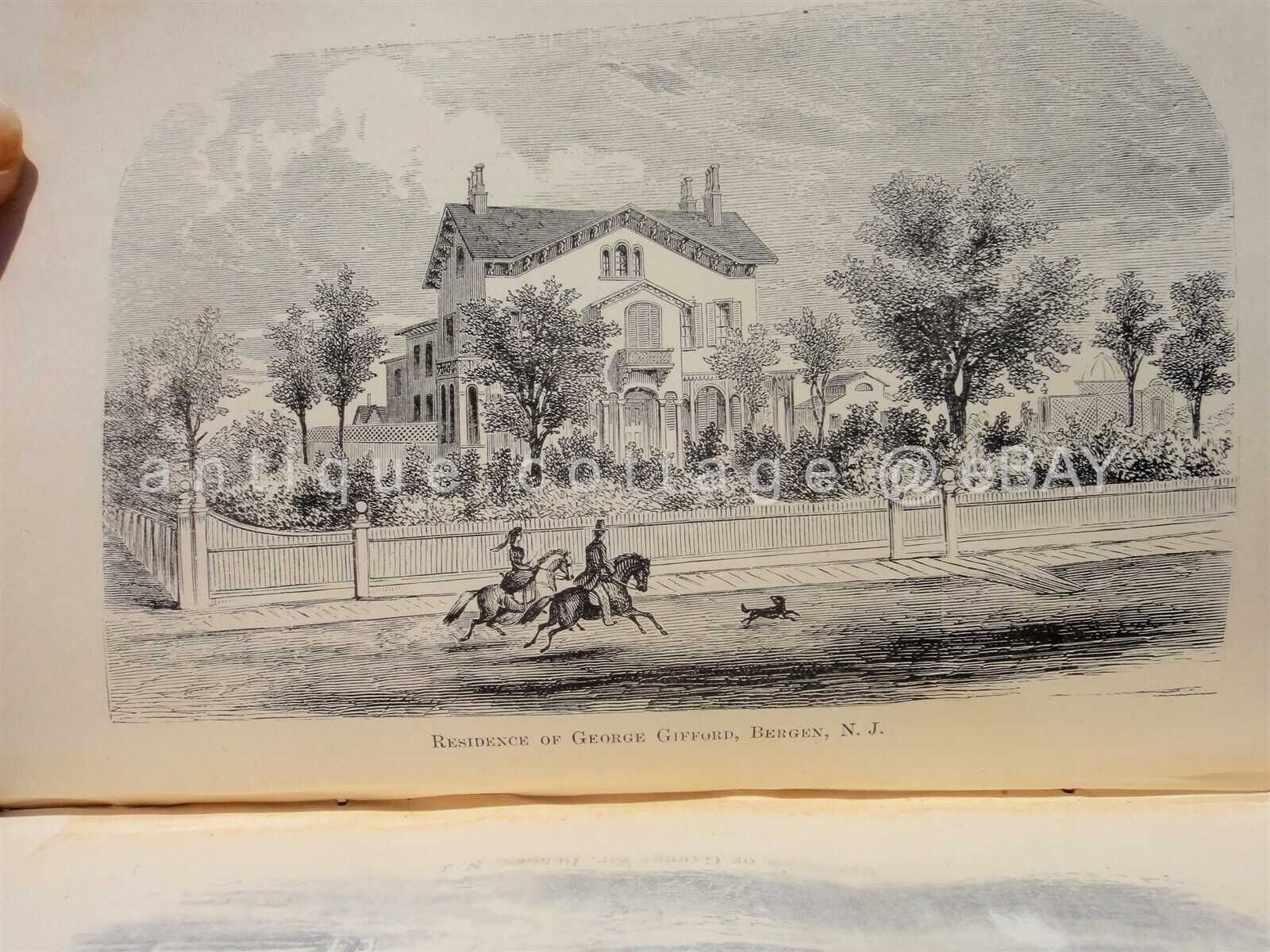 Afbeelding 14 van 14