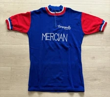 Vintage Campagnolo Argus Merican Cycling Racing Jersey Sz L Made in Bengland