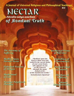 Nectar of Nondual Truth 39 Rabbi Rami Shapiro (u. a.) Taschenbuch Englisch 2023