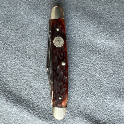 Boker Tree Brand 8288 Knife USA Jigged Bone Handle 2 3/4  Closed
