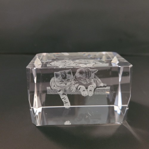 Crystal Glass Paperweight Cube 3D Laser Etched Kittens On Bench 3"x2"x2" - Picture 2 of 9