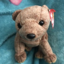 1999 Ty Beanie Baby Pecan the Bear With Tag  Cover Also Tush Tag