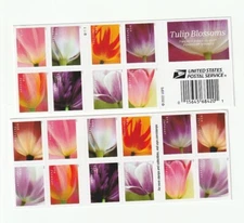 Scott  # 5767 - 5776 US Tulip Blossoms  20 Stamp   Free Ship  M/NH O/G