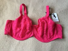 Sculptresse by Panache 46D Hot Pink Pure Lace Underwire  Bra Style 6931 NWT