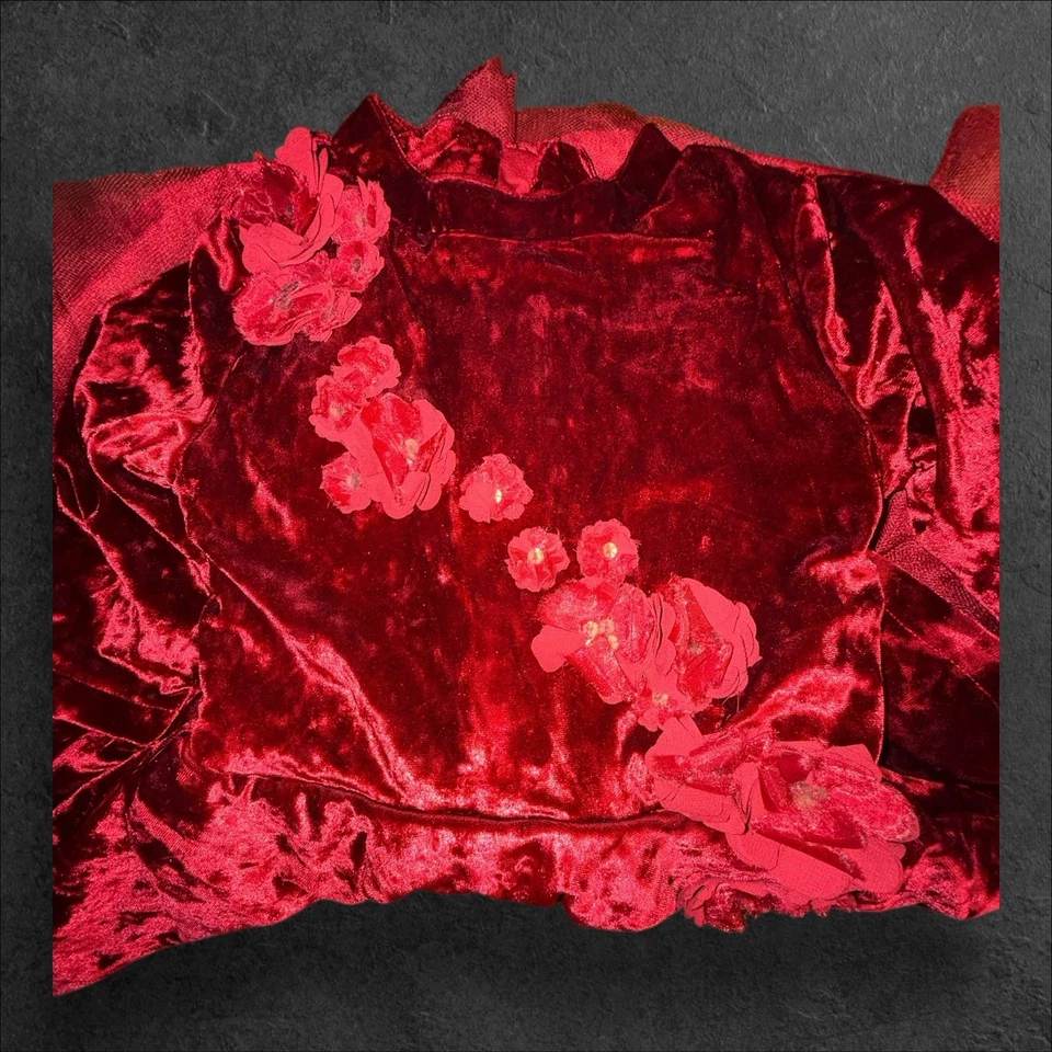 Vestido Princesa Bella Disney - Terciopelo Rojo y Tul - Talla 5/6 - Tienda Disney Foto 3 de 4