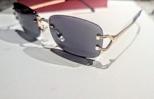 Cartier CT00520 Sunglasses Frame Black & silv...
