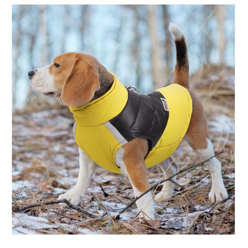 dog down vest