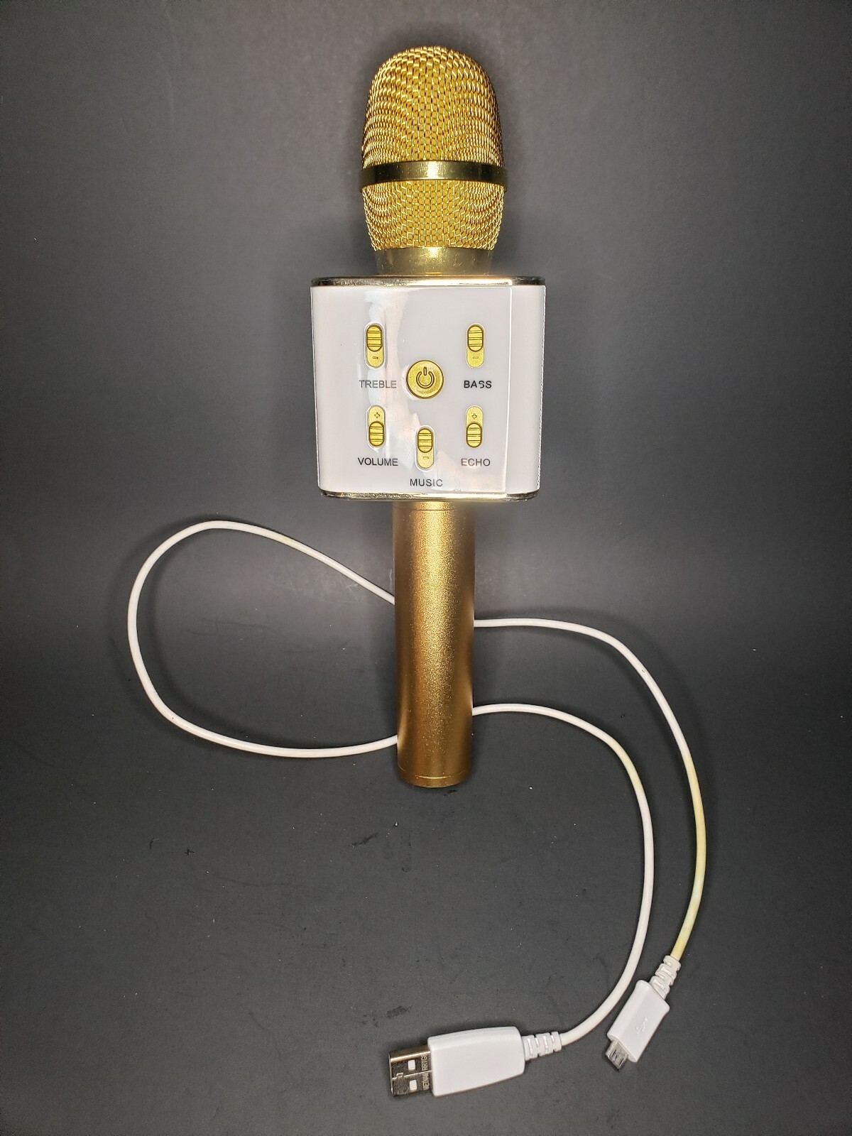 my karaoke pro microphone and speaker