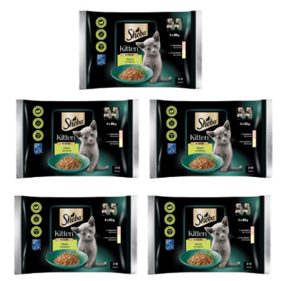 5x4x85g SHEBA Kitten Nassfutter Lachs und Huhn in Soße für Kätzchen getreidefrei