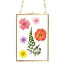4x6 Inch Hanging Pressed Flower Frame, Double Glass Frame for Pressed Flowers...