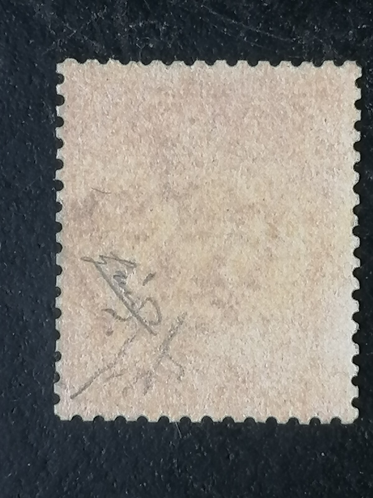 Foto 2 di 2