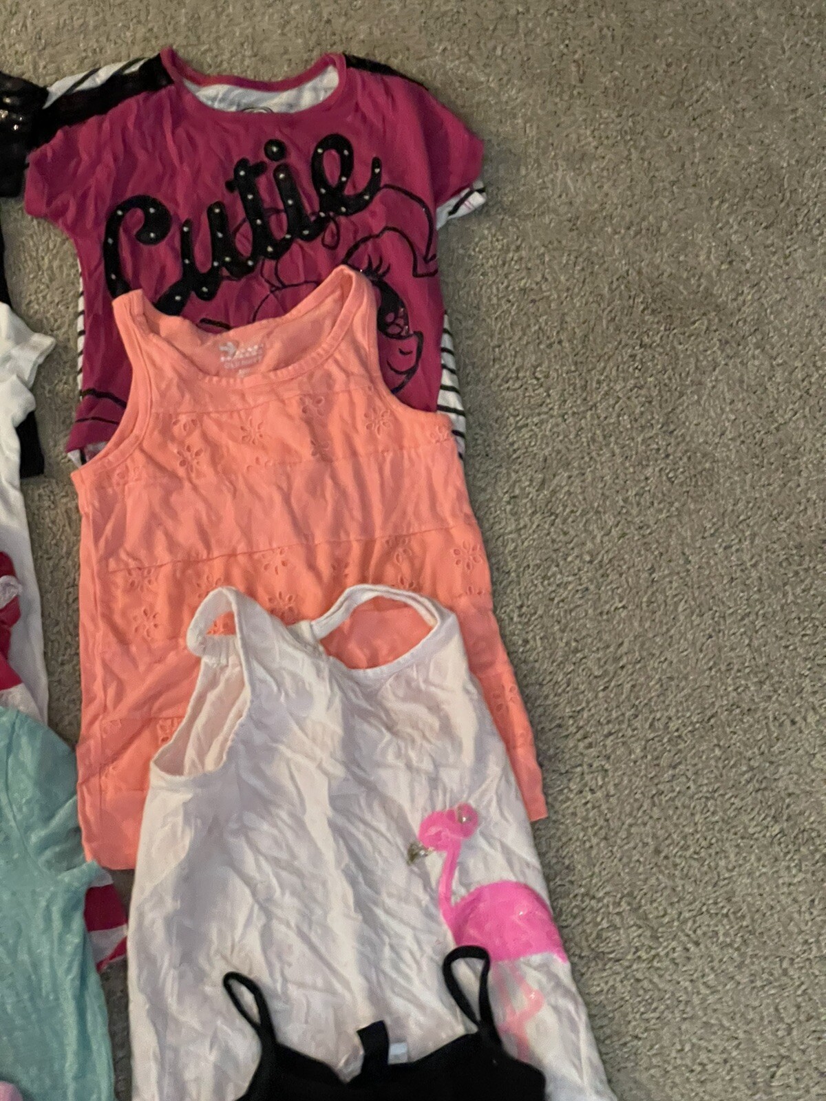 Picture 24 of 24