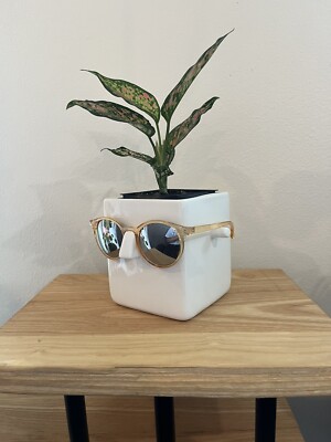 FACE Plant | Novelty Planter Holds Plants Glasses & You Can Draw On