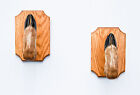 Taxidermy Deer Hoof Gun Rack on Oak Plaques Deer Foot Deer Feet