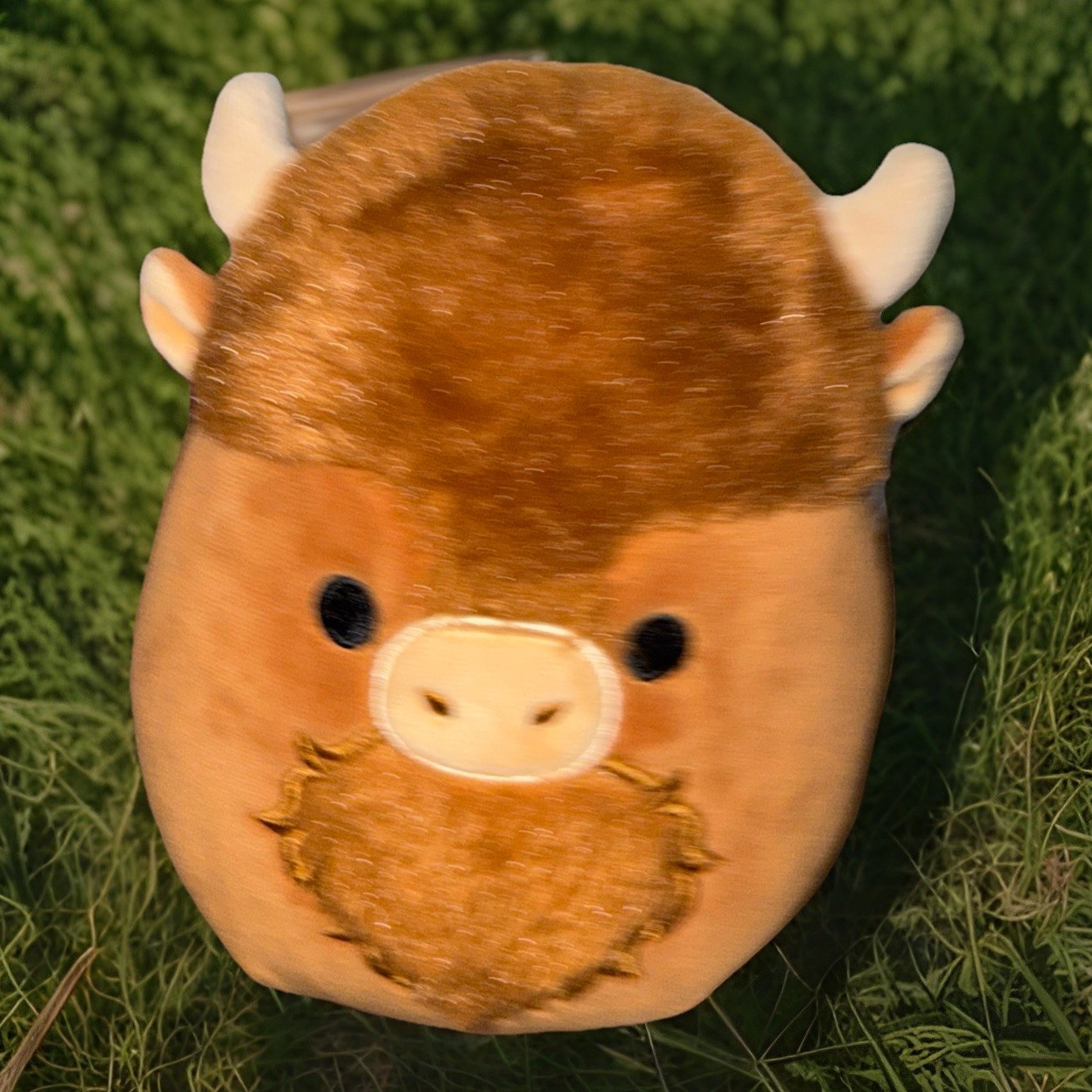 Official Kellytoy Squishmallows Wilfred the Highland Cow 5