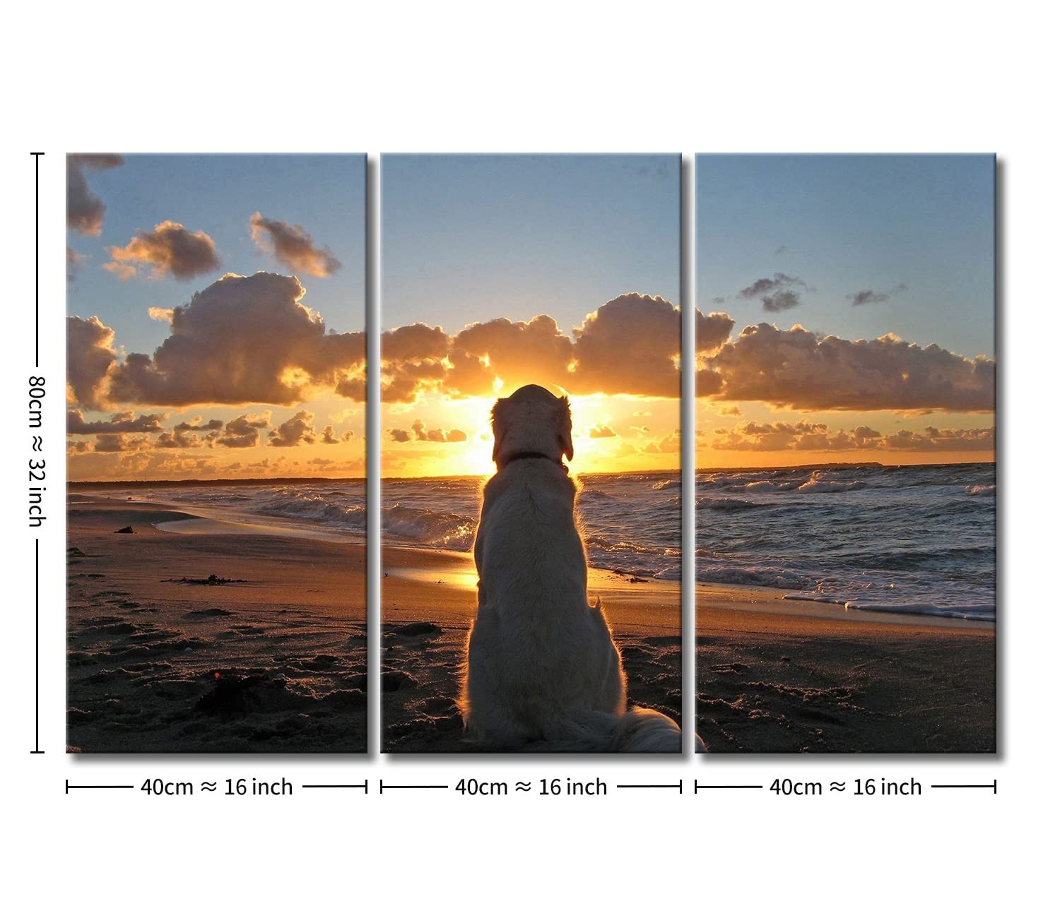 Dog Wall Art Golden Retriever Picture Labrador Dog and Sunset Pictures Prints...
