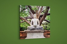 Artographie - Buddha Statue With Tree - Art Print on Paper or Canvas