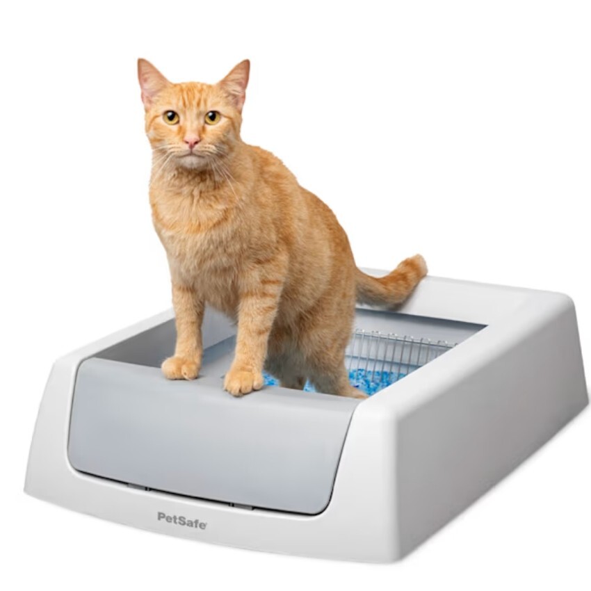 ScoopFree Crystal Classic Self-Cleaning Litter Box, Large. New - Us Stock