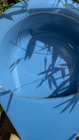 Video 1 of 1