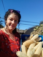 Loofah Seeds 15 Count With Instructions