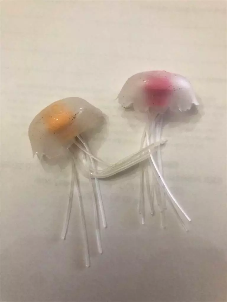 Mini on sale jellyfish lamp